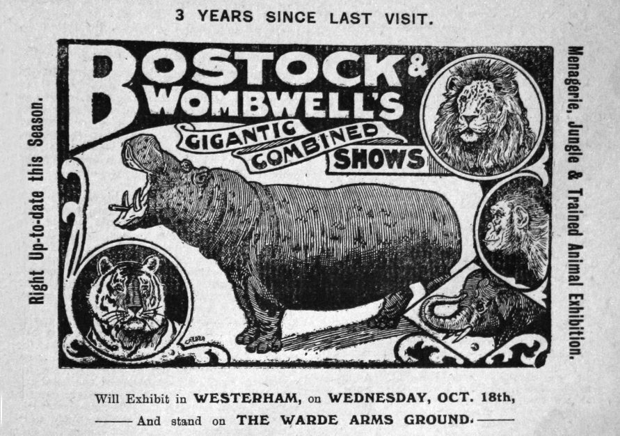 Bostock and Wombwells Circus advert, Westerham Herald 1914