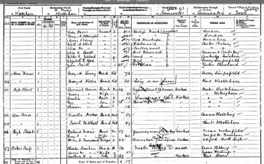 Johnstone at Dunsdale 1901 census - 2