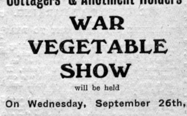 Wartime Vegetable Show 1917
