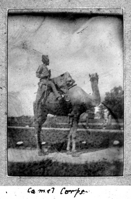 Jubbulpore India  Camel Corps