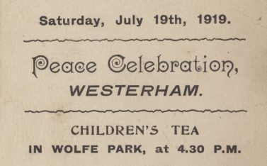 WWI Peace Celebration picnic ticket