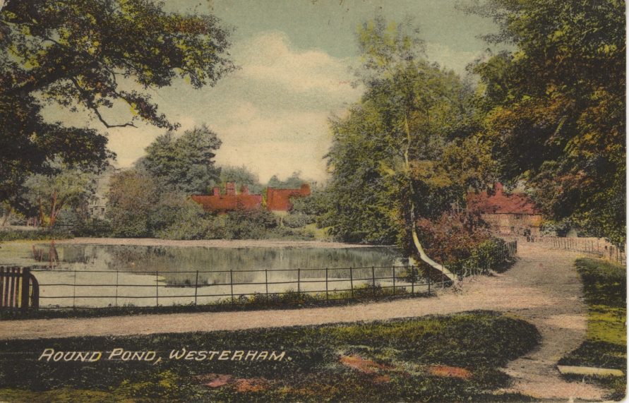 Round Pond, along MillLlane